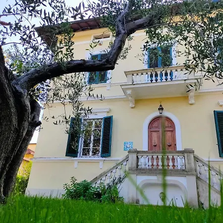 Villa Luisa In 1919 *